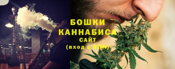 гашик Арсеньев
